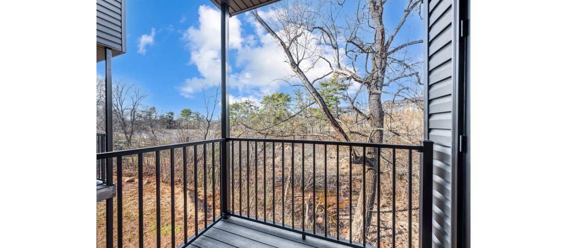 1085 Ashwood Manor Court
Unit 102, Forest, VA