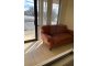 18292 Forest Road
Unit 8, Forest, VA